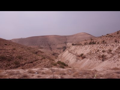 DSC02444 - Kopie.JPG